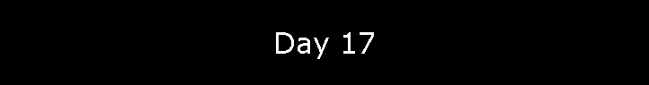 Day 17